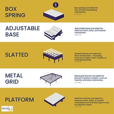 Doozy 8" & 10"  | image 2