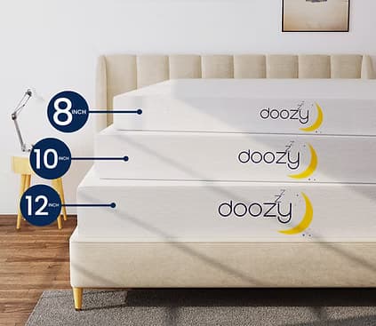 Doozy 8" & 10"  | image 3