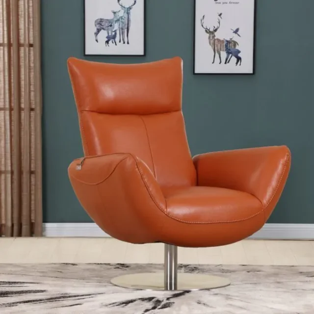 C74 Italian Top Grain Leather Chair