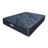 Mattresses & Bases